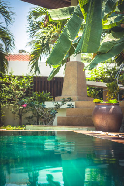 istock Swimming pool at private tropical villa with palm trees and Asian decorations elements 641895676