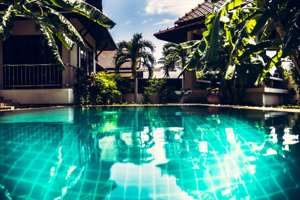istock Modern tropical villa with swimming pool and palm trees 641895690