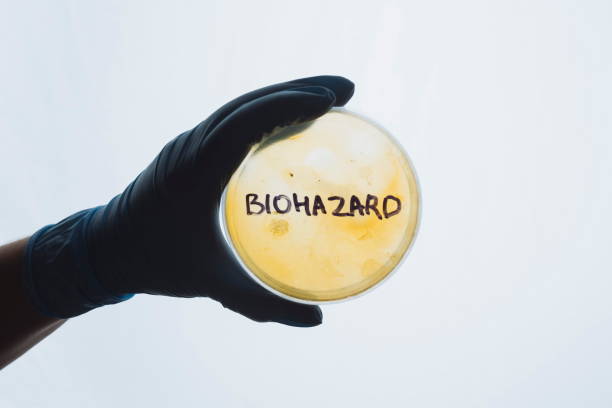 페트리 접시에 단어 생물 학적 위험 - bacterium staphylococcus colony epidemic 뉴스 사진 이미지