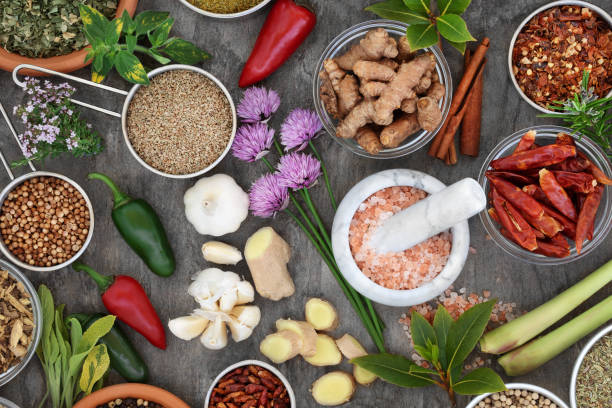 kolekcja świeżych i suszonych ziół i przypraw - mortar and pestle condiment food herb zdjęcia i obrazy z banku zdjęć