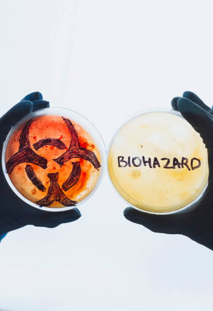 placas de petri com risco biológico palavra e símbolo - bacterium staphylococcus colony epidemic - fotografias e filmes do acervo