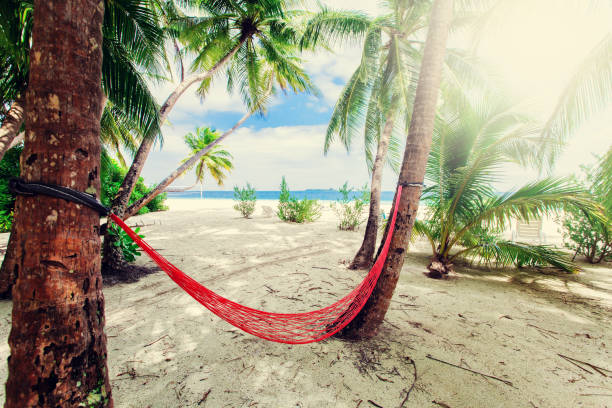istock Empty net hammock at tropical beach resort island 641897728