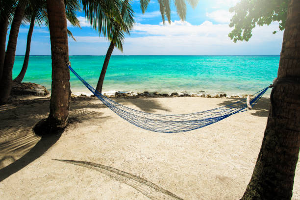 istock Empty net hammock at tropical beach resort island 641899196