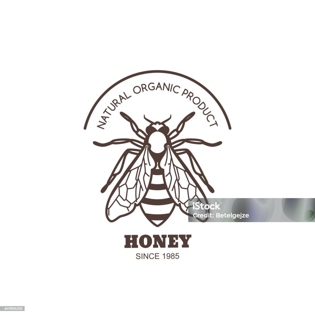 Vector vintage honey label design. Outline honeybee emblem. Vector vintage honey label design. Outline honeybee emblem. Linear bee isolated on white background. Concept for organic honey products, package design. Animal stock vector