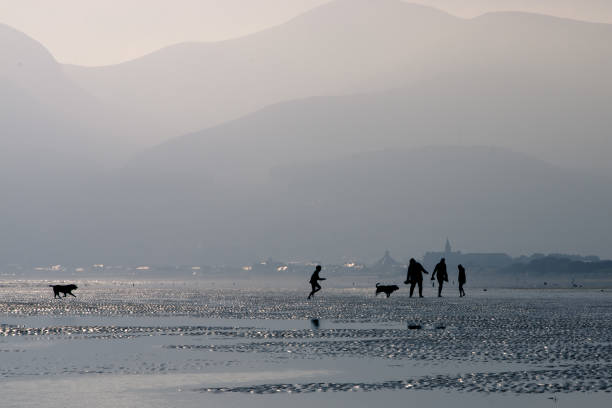 Silhouettes of two teenage children, two adults and two dogs walking on a beach stock photo