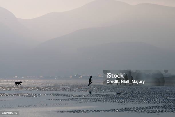 Silhouettes Of Two Teenage Children Two Adults And Two Dogs Walking On A Beach Stock Photo - Download Image Now