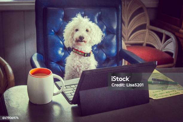 Dog At Work Stock Photo - Download Image Now - Dog, Humor, Desk