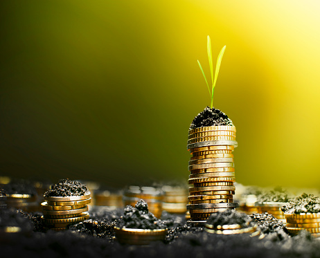 Euro coin in soil growing in stacks with warm summer light and tiny plant on top