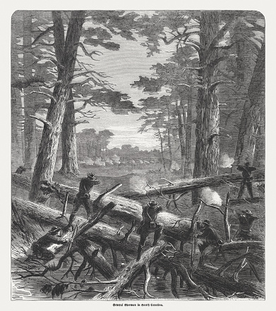 General Sherman's vanguard on the march through the marshes of South Carolina during the American Civil War. Wood engraving from \