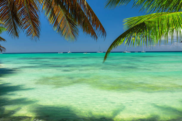 istock Carribean sea, beautiful panoramic view 641913606
