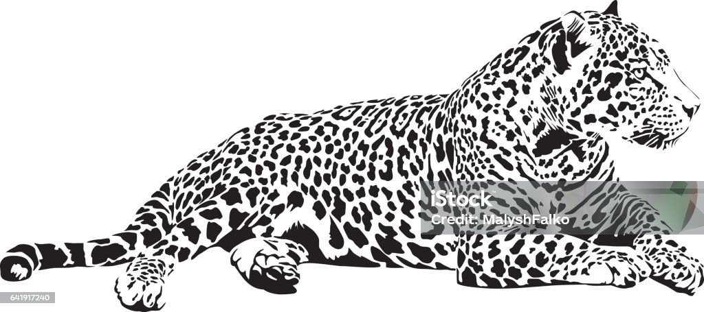 Jaguar Black and white vector sketch of lying Jaguar Jaguar - Cat stock vector