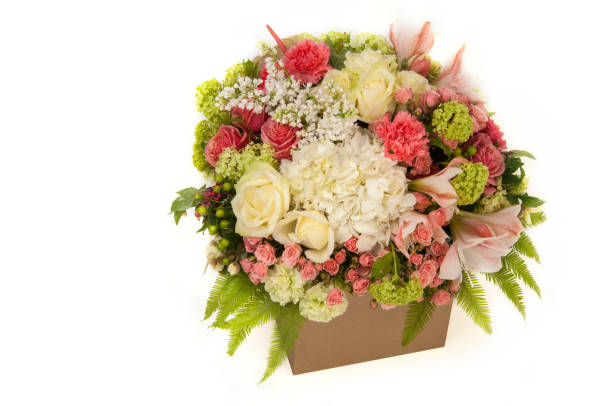 istock a bouquet of flowers on a white background 641920502