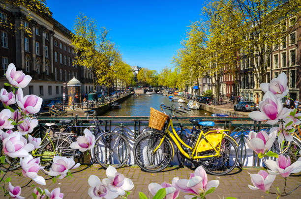 istock Bikes on the bridge in Amsterdam, Netherlands. 641921002