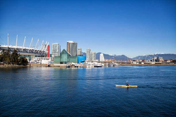 kajakfahren im false creek im winter, vancouver, kanada - water reflection marina life jacket stock-fotos und bilder