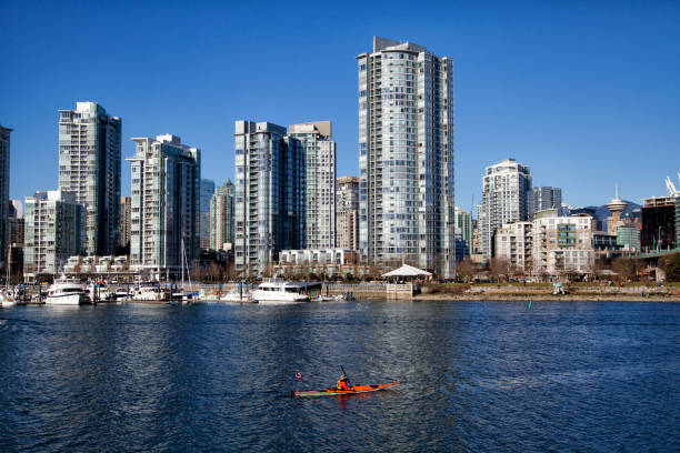 kajakfahren im false creek im winter, vancouver, kanada - water reflection marina life jacket stock-fotos und bilder