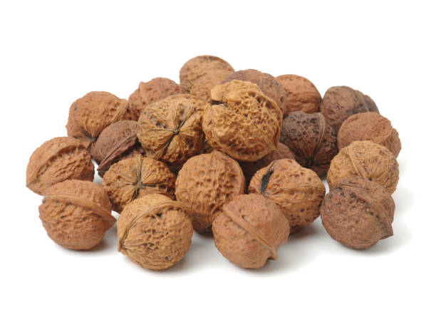 istock Close-up of five shelled walnuts over a white background 641924064