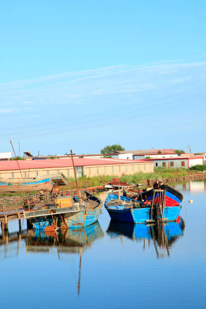 istock Fishing boats in the harbour 641928564