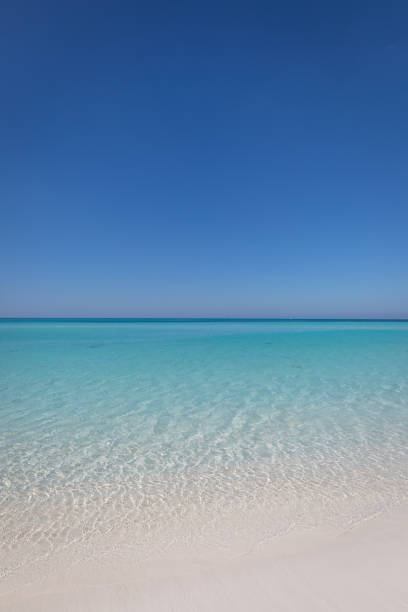 Idyllic tropical sand beach on a beautiful day in Cayo Coco, Cuba.
