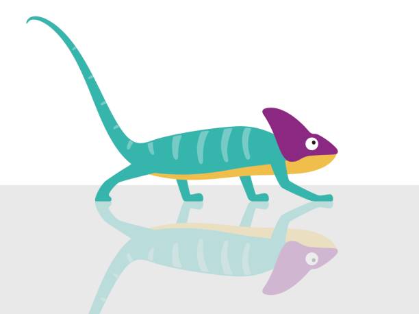 Chameleon walking in glass background, vector illustration Chameleon walking in glass background, vector illustration chameleon stock illustrations