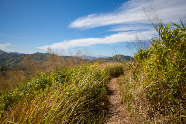 Mountain Pathway stock photo