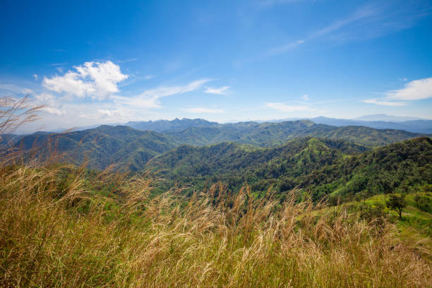 Grassland on mountain stock photo