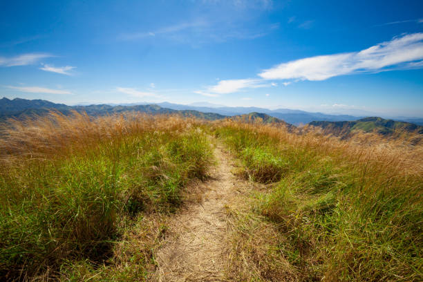 Mountain Pathway stock photo