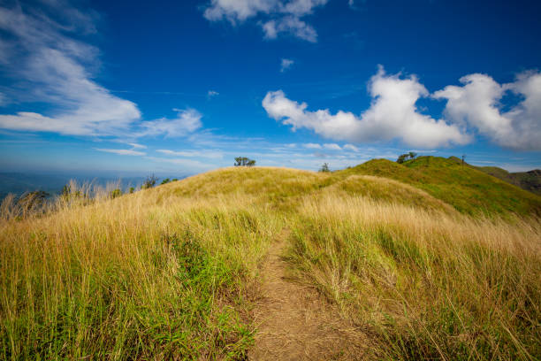 Mountain Pathway stock photo