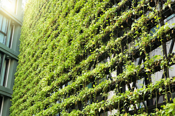 Wall of a building covered with plants,  plants grow in special hydroponic pots