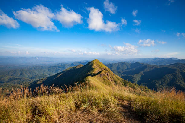 Mountain landscape stock photo