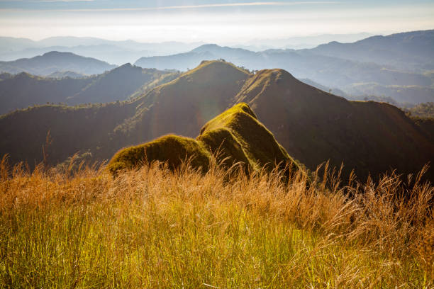 Beautiful Pathway mountain stock photo