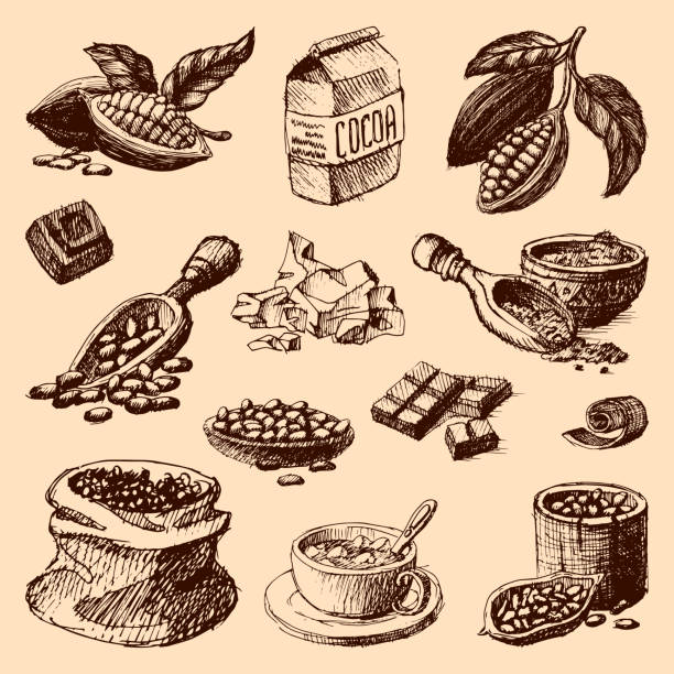 ilustraciones, imágenes clip art, dibujos animados e iconos de stock de ilustración de vector cacao dibujados a mano dibujo - engraving old fashioned cake food