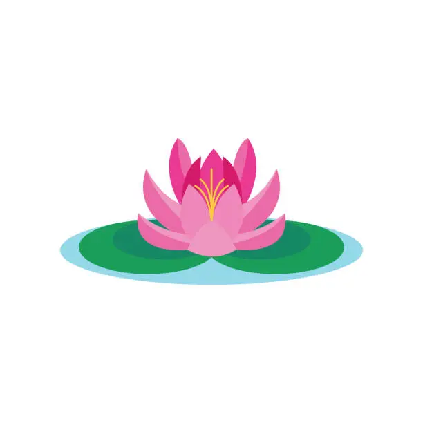 Vector illustration of Beautiful lotus flower vector isolated on white background
