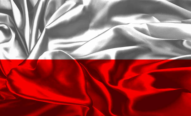 istock Flag of Poland 641949150