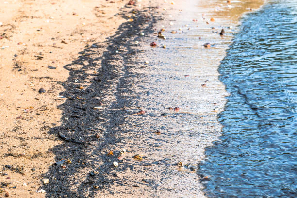 istock Environmental Disaster strikes when an oil spill causes pollution on a beach in the tropical paradise of Koh Lanta, Krabi, Thailand. 641952898