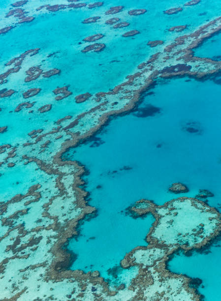 istock Great Barrier Reef, Australia. Aerial view 641953076