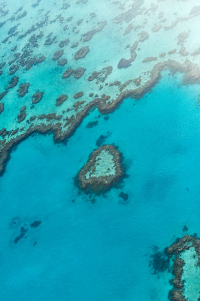 istock Great Barrier Reef, Australia. Aerial view 641953100