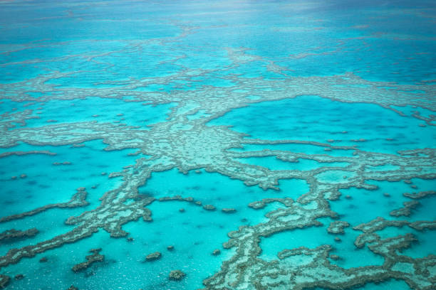 istock Great Barrier Reef, Australia. Aerial view 641953200