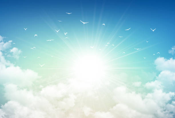 Morning sky light Morning sky background, sunlight through white clouds and free birds flying away heaven clouds stock pictures, royalty-free photos & images