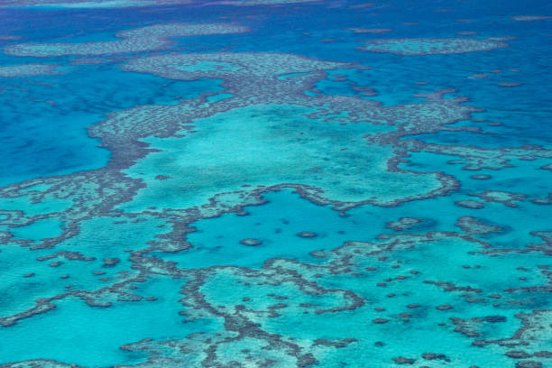 istock Great Barrier Reef, Australia. Aerial view 641953350