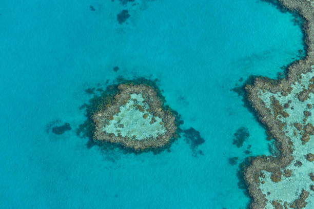 istock Great Barrier Reef, Australia. Aerial view 641953458