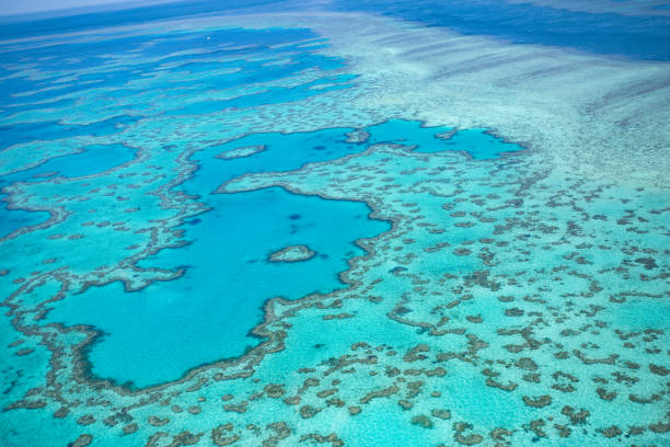 istock Great Barrier Reef, Australia. Aerial view 641953566