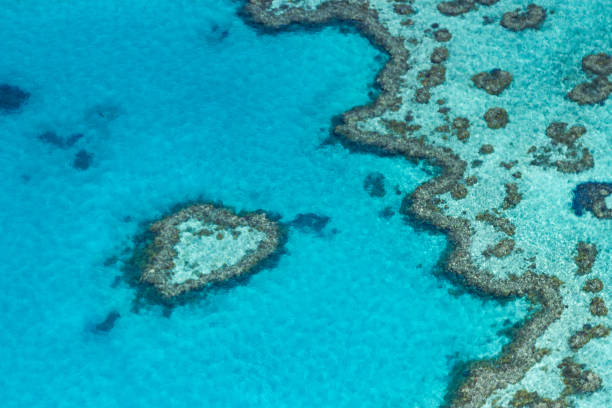 istock Great Barrier Reef, Australia. Aerial view 641953600
