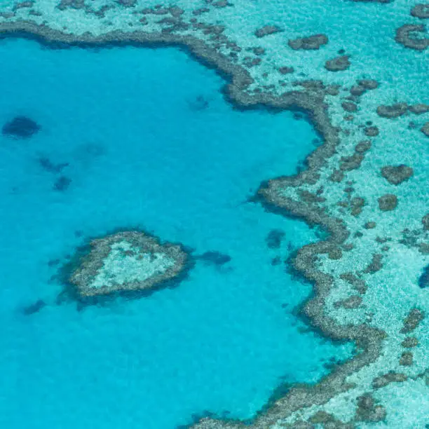 Great Barrier Reef, aerial view, Queensland, East Coast. Australia. View of heart and hardy reef.