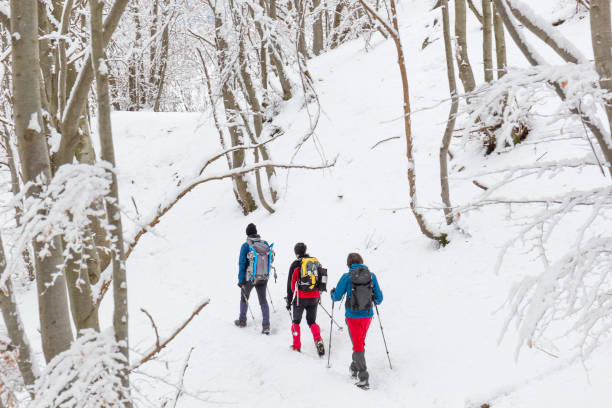 istock Hiker trekking in snowy forest 641958522