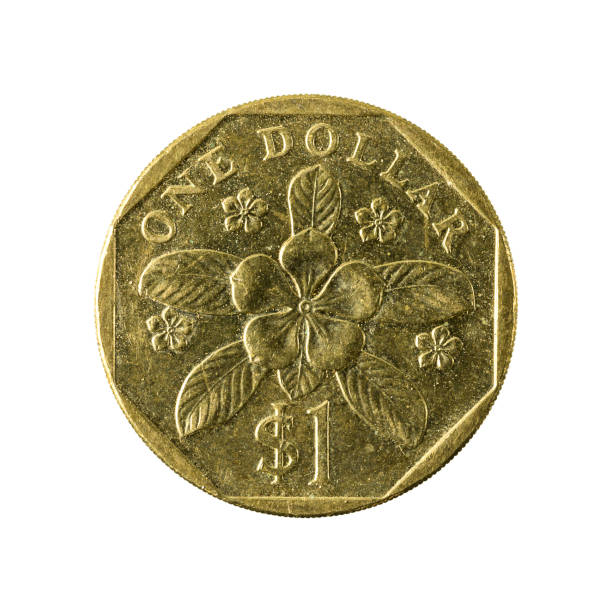 istock 1 singapore dollar coin (2008) obverse isolated on white background 641960506