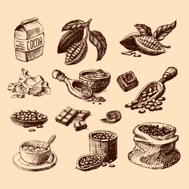 ilustraciones, imágenes clip art, dibujos animados e iconos de stock de ilustración de vector cacao dibujados a mano dibujo - engraving old fashioned cake food