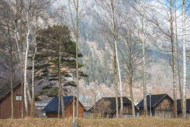 istock Lake houses and garages in a row 641967478