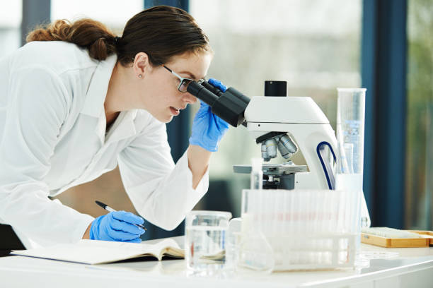 istock Beauty and brains 641968650
