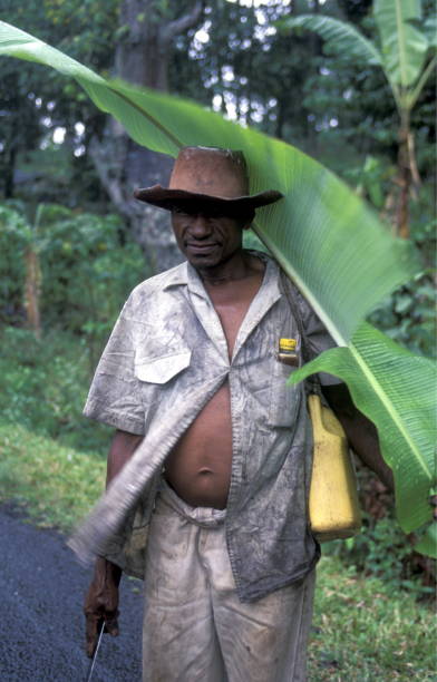 africa comoros anjouan - junge imagens e fotografias de stock