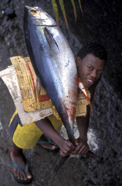 africa comoros anjouan - junge imagens e fotografias de stock